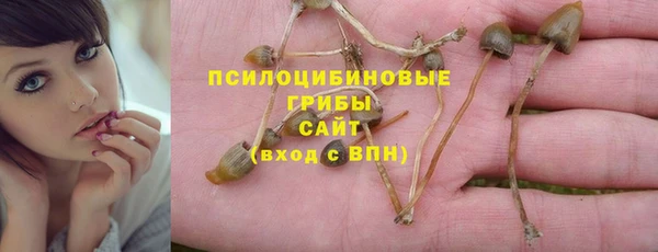 стафф Алексеевка