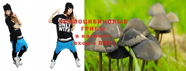 стафф Алексеевка