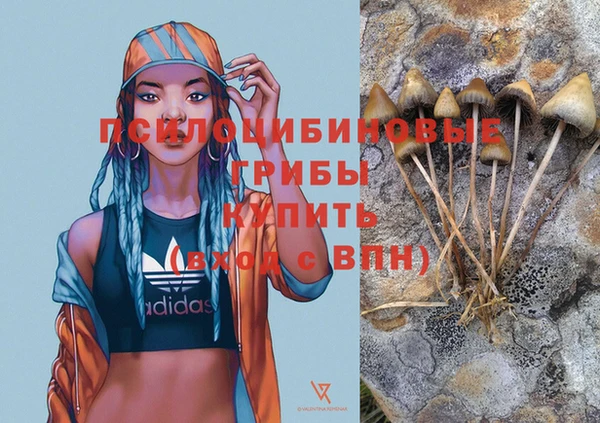прущая мука Алзамай